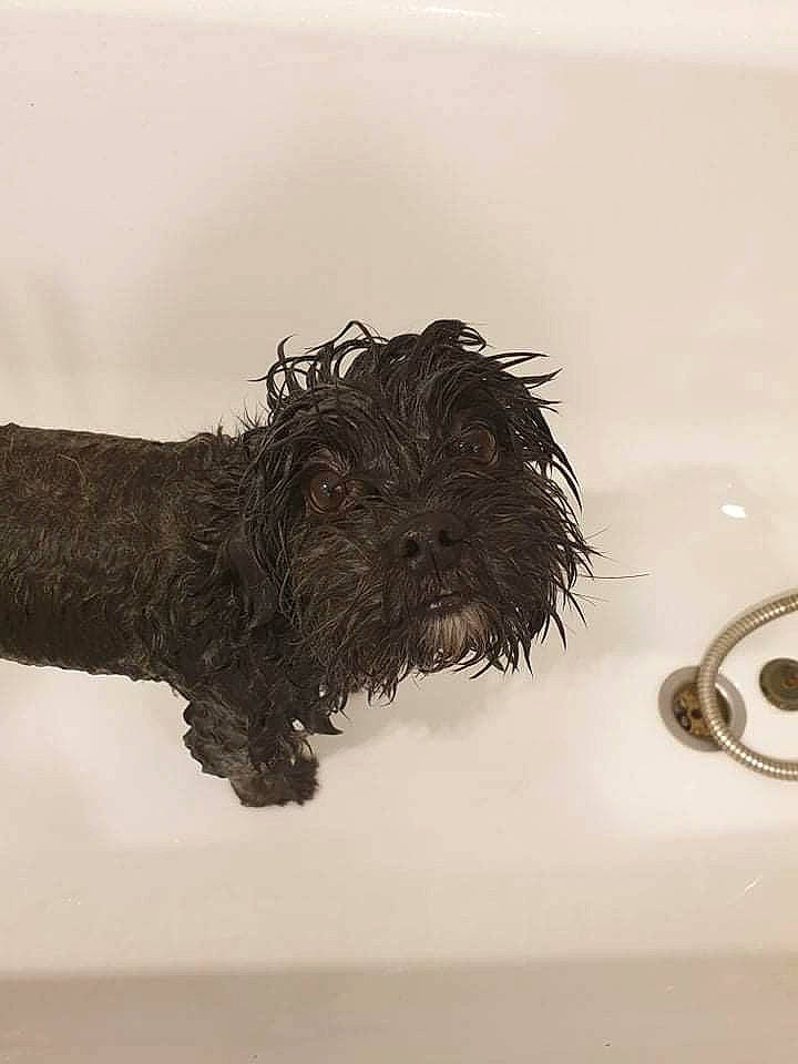 Oxana a rejoint le concours — aidez-le/la à gagner de superbes lots ! art, drawing, eyelash, feather, font, fur, illustration, ink, monochrome, monochrome_photography, paint, painting, plant, plumbing_fixture, rectangle, still_life_photography, tree, twig, visual_arts, wood