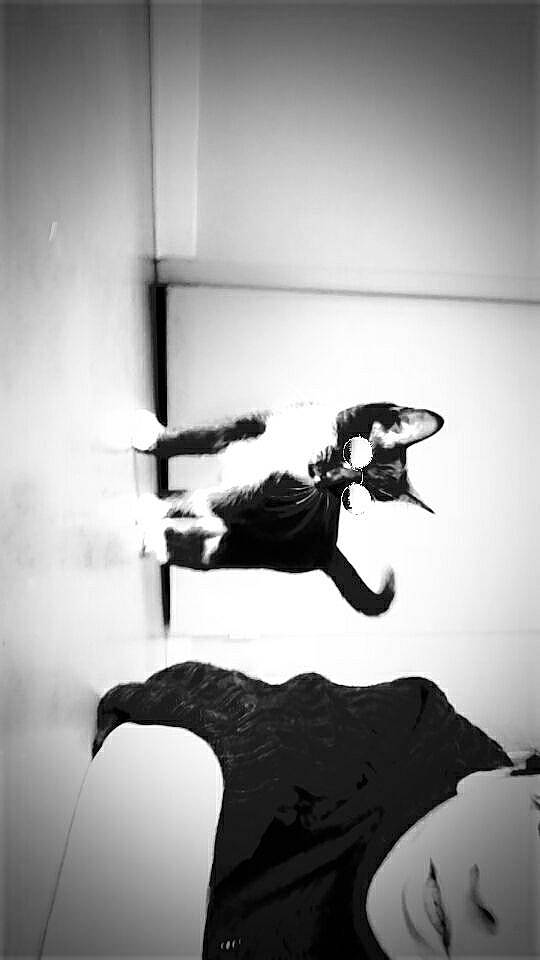 Ruby a rejoint le concours — aidez-le/la à gagner de superbes lots ! b_boying, black, black_and_white, dance, monochrome, monochrome_photography, photography, room, shadow, stock_photography, style, white