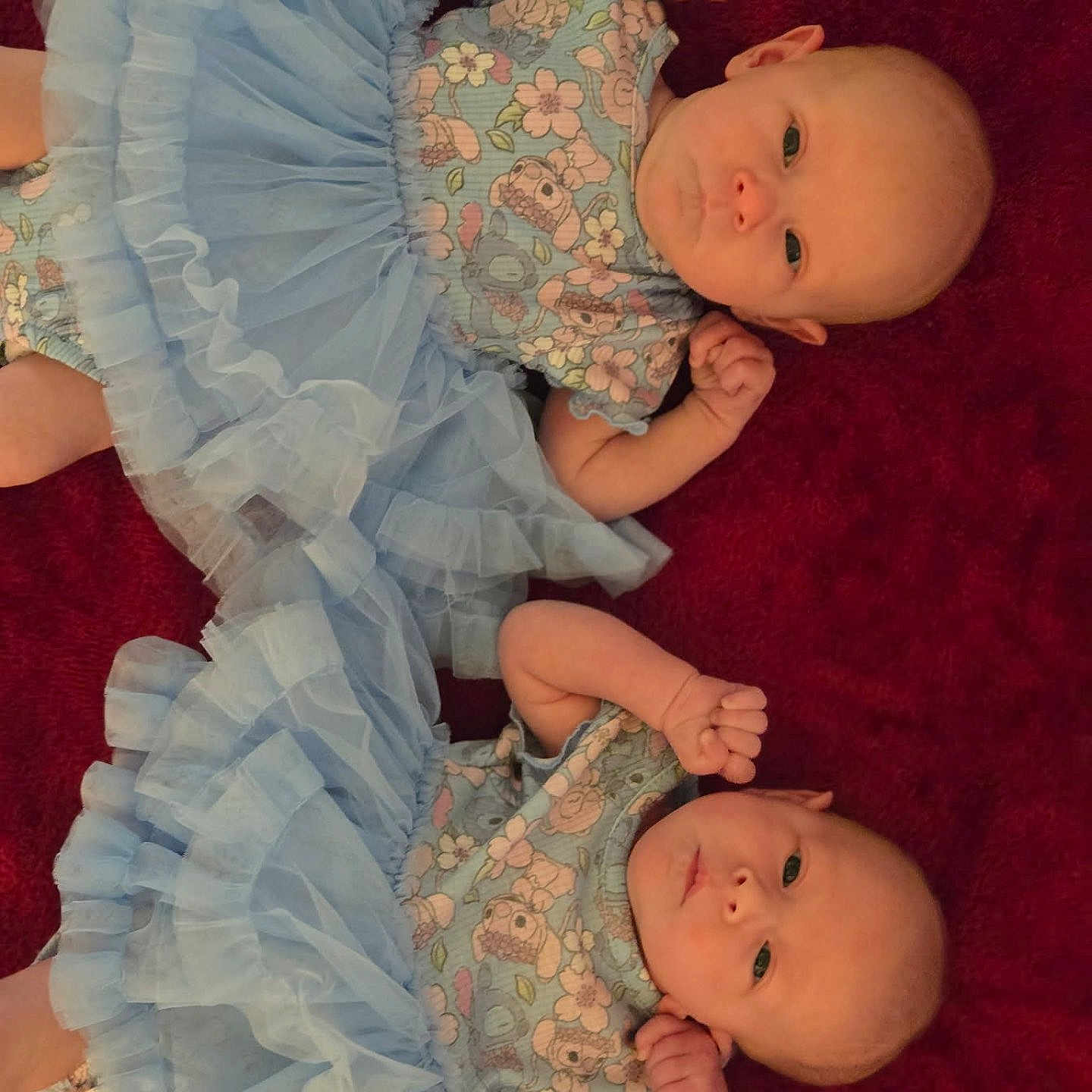 Evangeline And Anna is registered to the contest to win money with this photo: adorable, baby, blue_tutu, child, cute, face, floral_clothing, indoor, infant, lying_down, matching_outfits, newborn, person, portrait, red_background, small_hands, smiling_eyes, soft_texture, twin, young