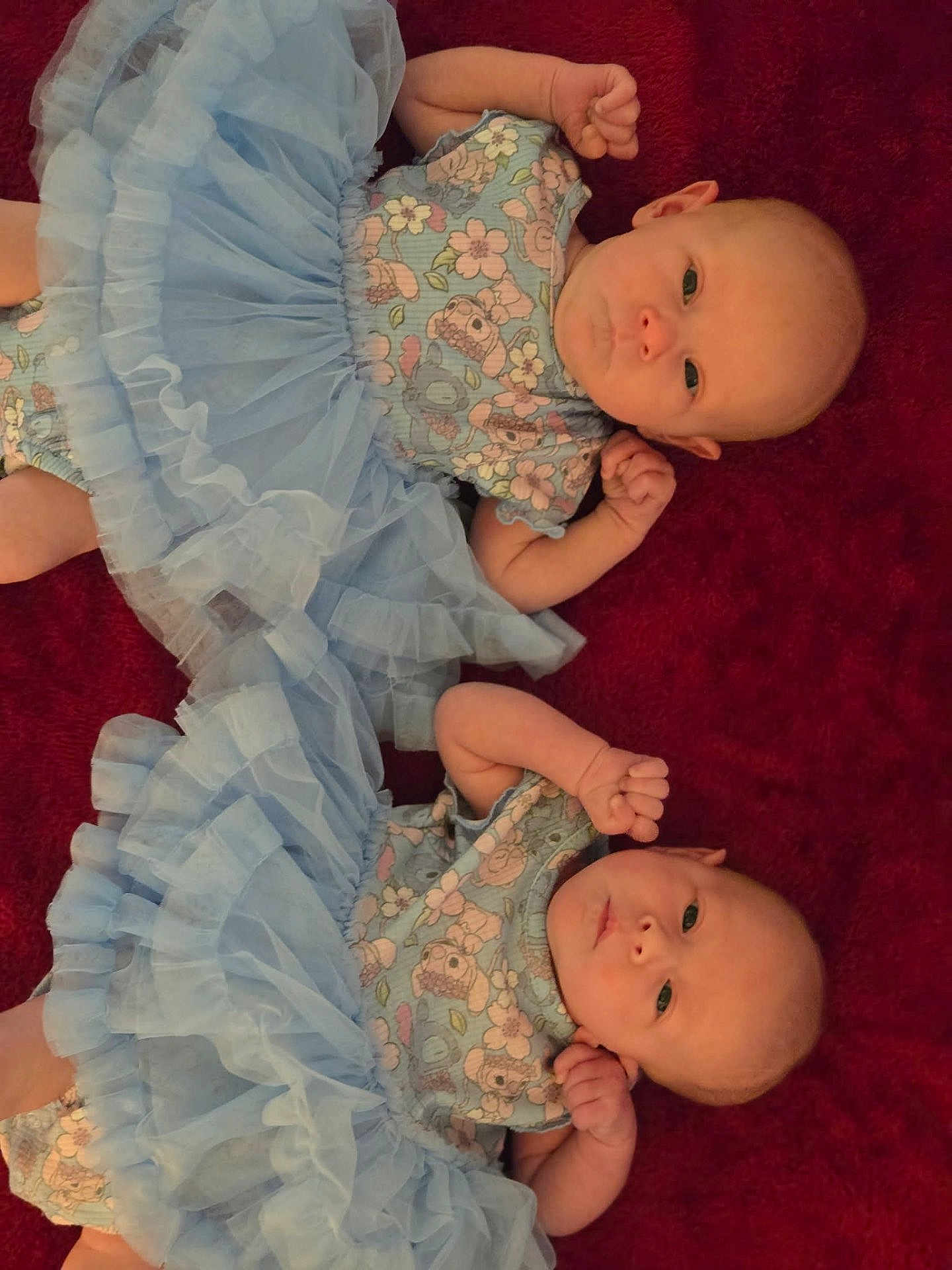 Evangeline And Anna is registered to the contest to win money with this photo: baby, twin, infant, blue_tutu, floral_clothing, lying_down, red_background, cute, small_hands, face, person, newborn, adorable, soft_texture, indoor, portrait, matching_outfits, child, smiling_eyes, young