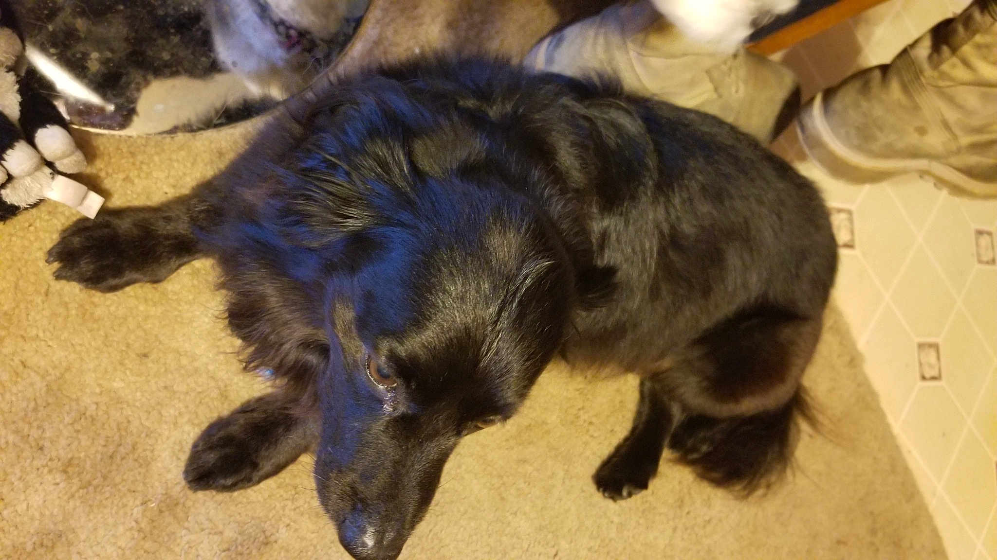 Jax
