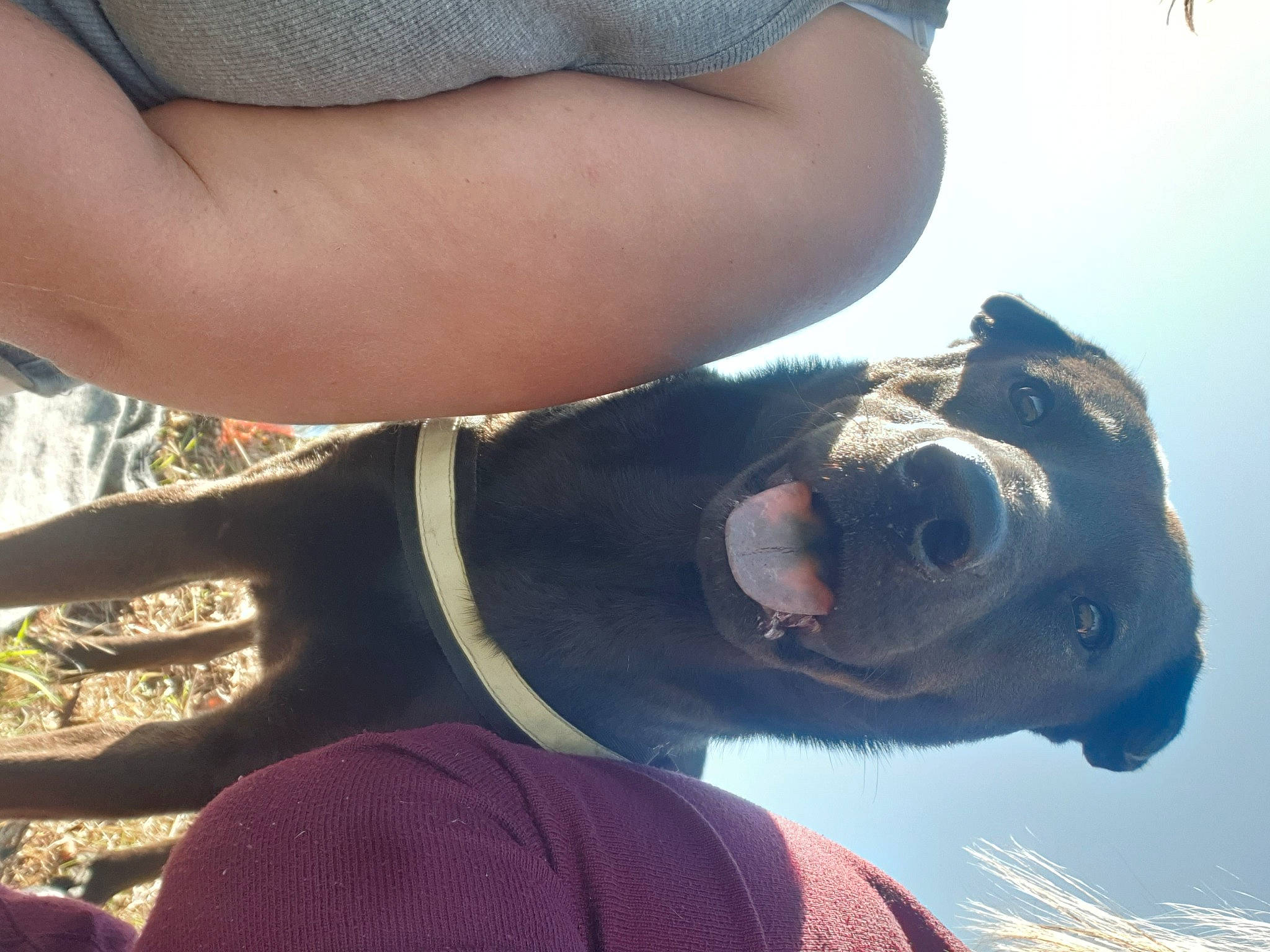 Smarties participe au concours pour gagner de l'argent avec cette photo : hand