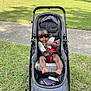 baby, stroller, sunglasses, child, outdoor, grass, sidewalk, sunlight, shade, casual, summer, cute, infant, seatbelt, red_clothing, footwear_none, relaxing, portrait, baby_accessory, park