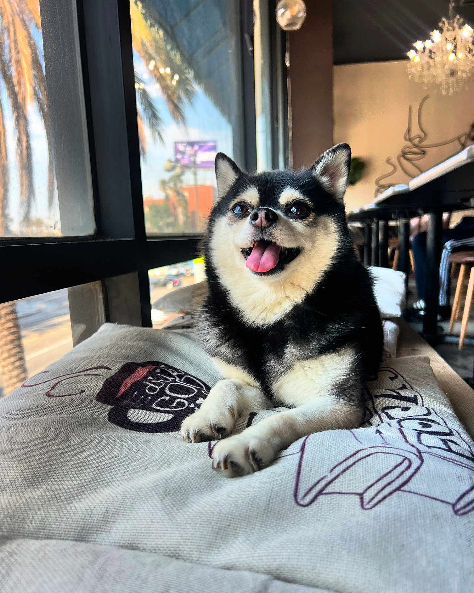 Doja