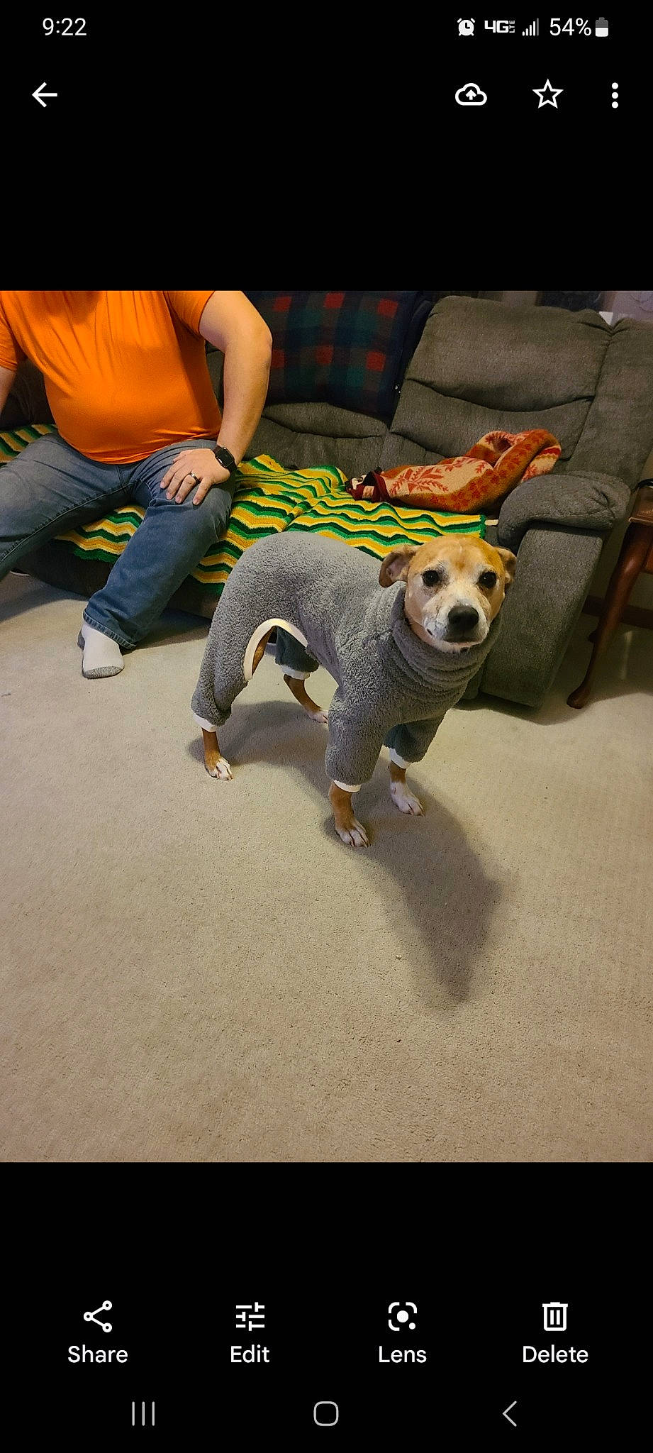 Flynn joined the competition — help win amazing prizes! asphalt, canidae, carnivore, companion_dog, couch, dog, dog_breed, fawn, flooring, fun, fur, leash, leisure, paw, road_surface, sitting, sporting_group, tail, toy_dog, working_animal