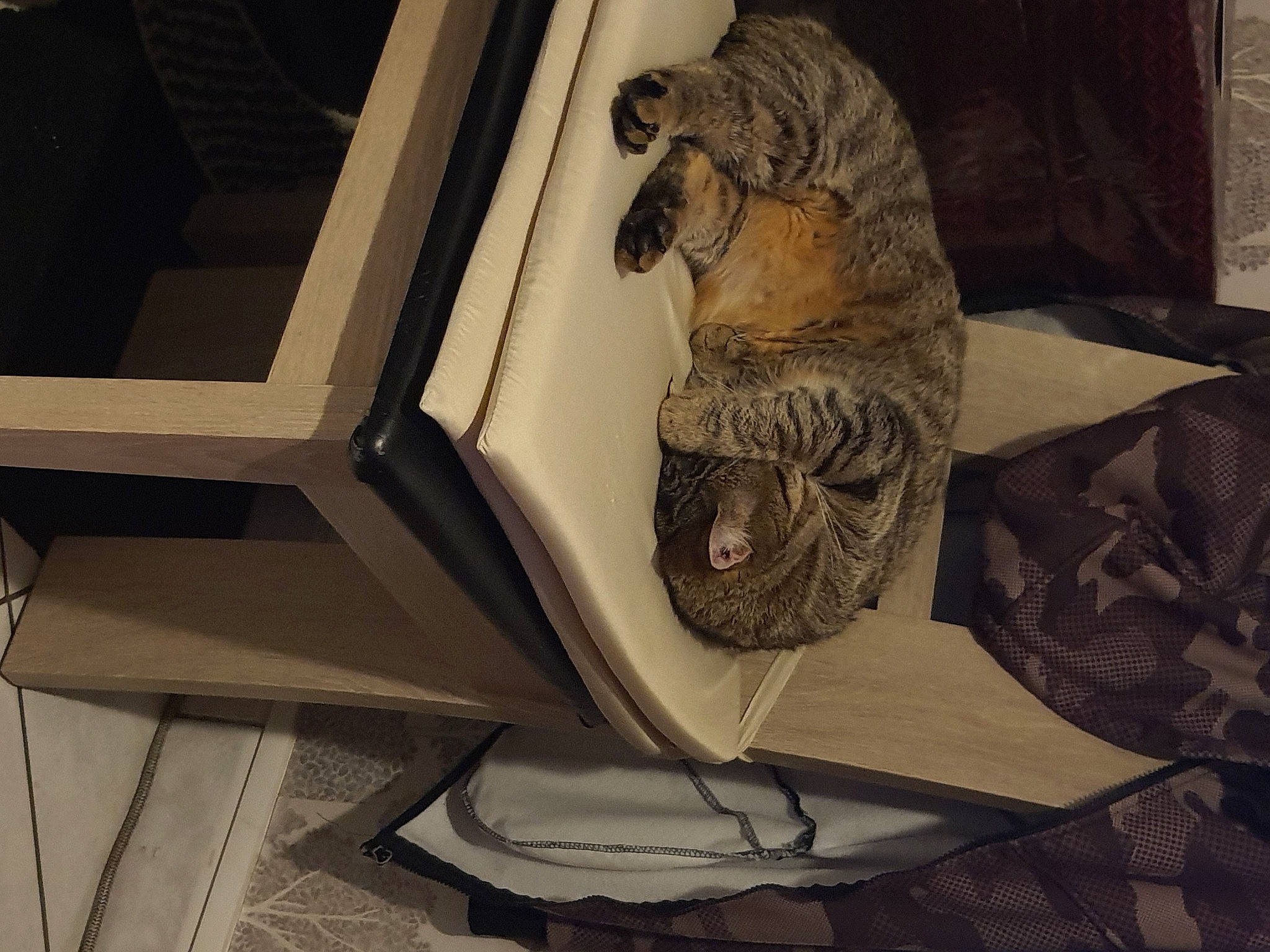 Mouchette participe au concours pour gagner de l'argent avec cette photo : art, artifact, ceiling, comfort, companion_dog, darkness, dog_breed, flooring, fur, grey, illustration, linens, monochrome, pattern, room, still_life_photography, toy, toy_dog, visual_arts, wood