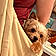 Teddy