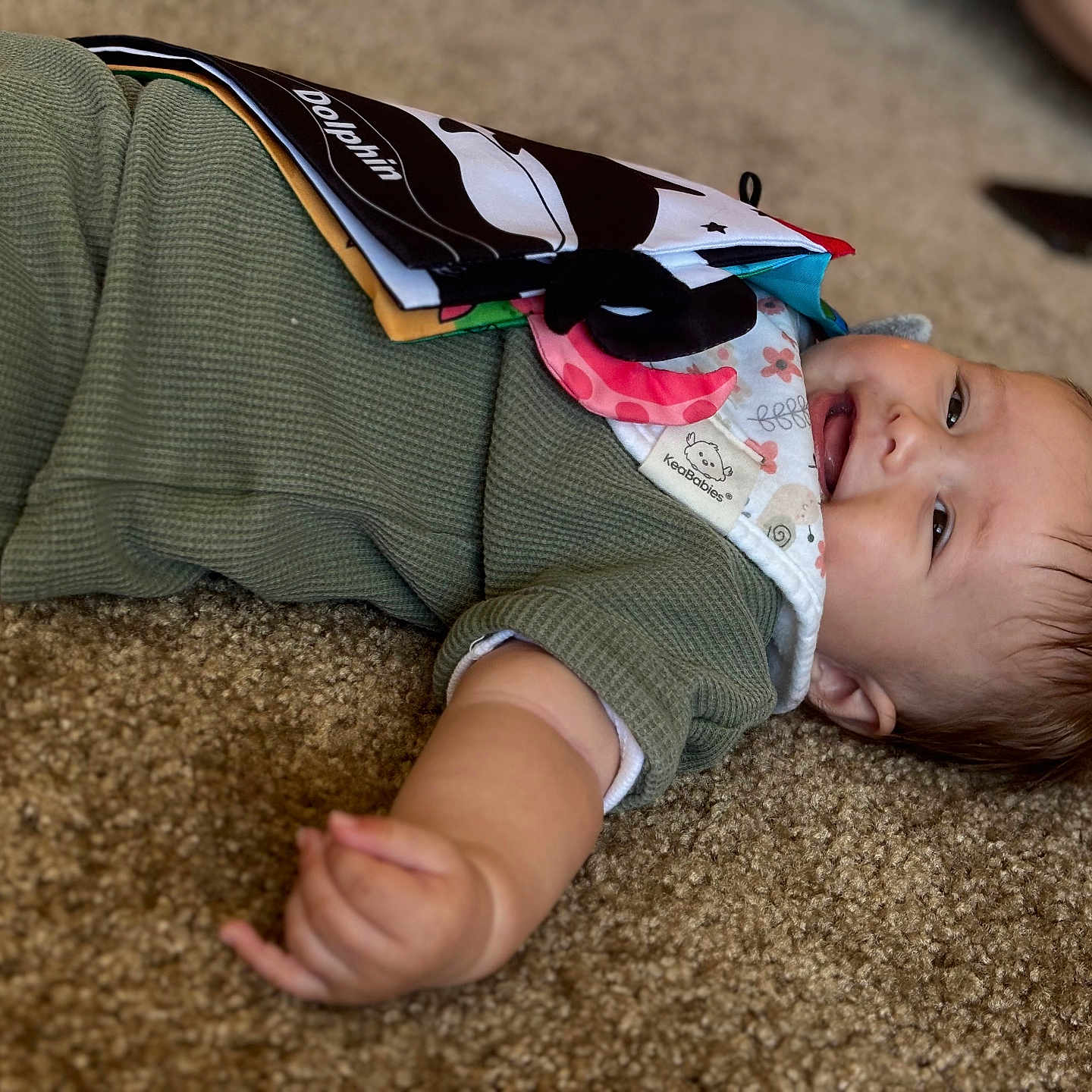 Brixlee is registered to the contest to win money with this photo: baby, bib, carpet, child, cute, expression, face, green_clothing, hand, happy, indoor, infant, lying_down, person, playful, skin, smiling, soft_texture, toy_book, young