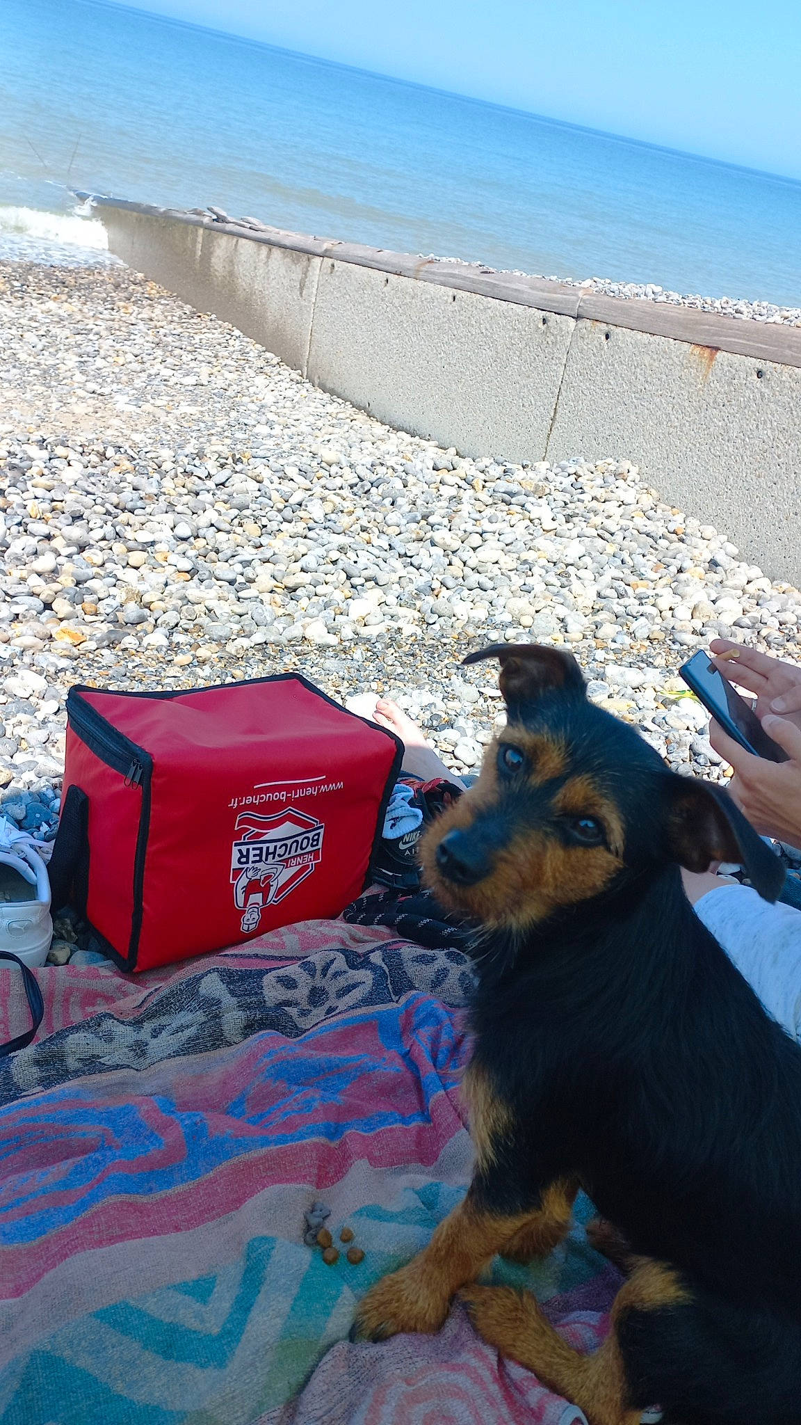 Boubouille participe au concours pour gagner de l'argent avec cette photo : azure, beach, blue, carnivore, coast, dog, dog_breed, fun, horizon, landscape, leisure, ocean, rock, sand, sky, tourism, travel, water, winter, working_animal