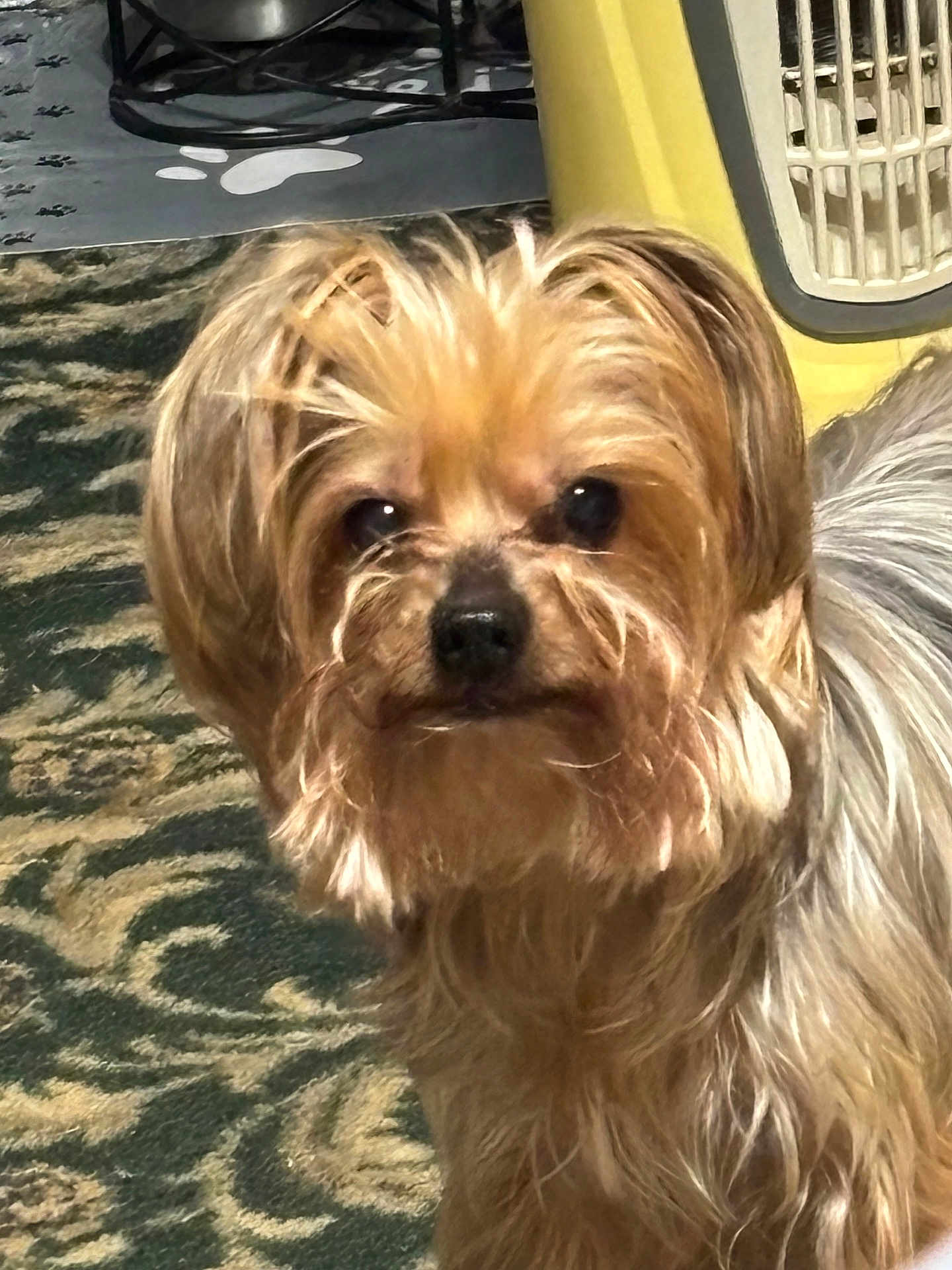 Baxter