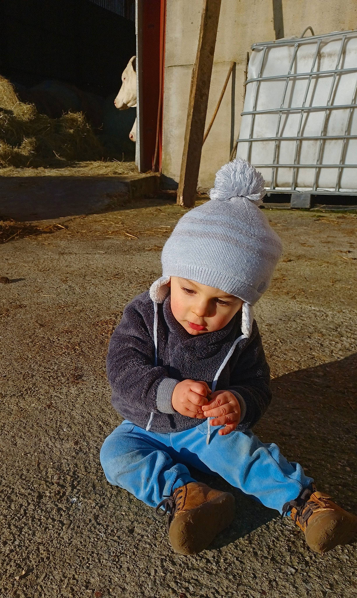 Timeo a rejoint le concours — aidez-le/la à gagner de superbes lots ! baby, cap, child, flooring, fun, grass, headgear, headwear, knit_cap, landscape, leisure, person, play, road_surface, sand, sitting, soil, toddler, tree, winter