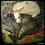 animal, canine, cat, chihuahua, computer, computerhardware, dog, electronics, hardware, hound, kitten, monitor, nature, night, outdoors, person, pet, screen, sleeping, text