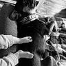 dog, pet, black_and_white, blanket, floor, child, feet, collar, texture, relaxation, indoor, furniture, cozy, resting, paw, couch, human_animal_interaction, casual, comfort, home
