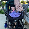 Sonalise Edyn joined the competition — help win amazing prizes! baby, infant, stroller, dog, french_bulldog, blanket, headband, outdoor, park, bench, pet, animal, sleeping, canine, child, pet_accessory, baby_clothing, sunlight, pavement, metal_fence