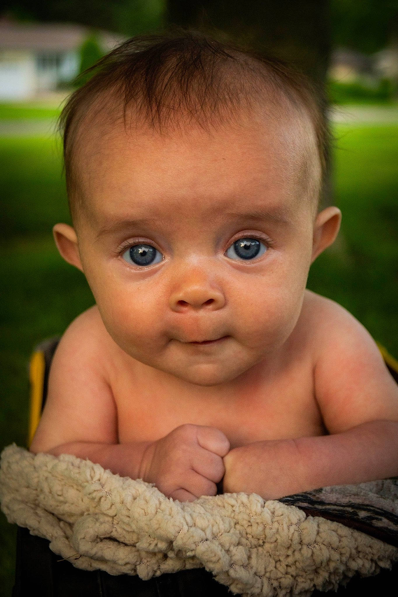 Bryar is registered to the contest to win money with this photo: baby, beauty, cheek, child, chin, close_up, eye, face, forehead, grass, head, iris, lip, male, mouth, nose, person, photography, skin, smile
