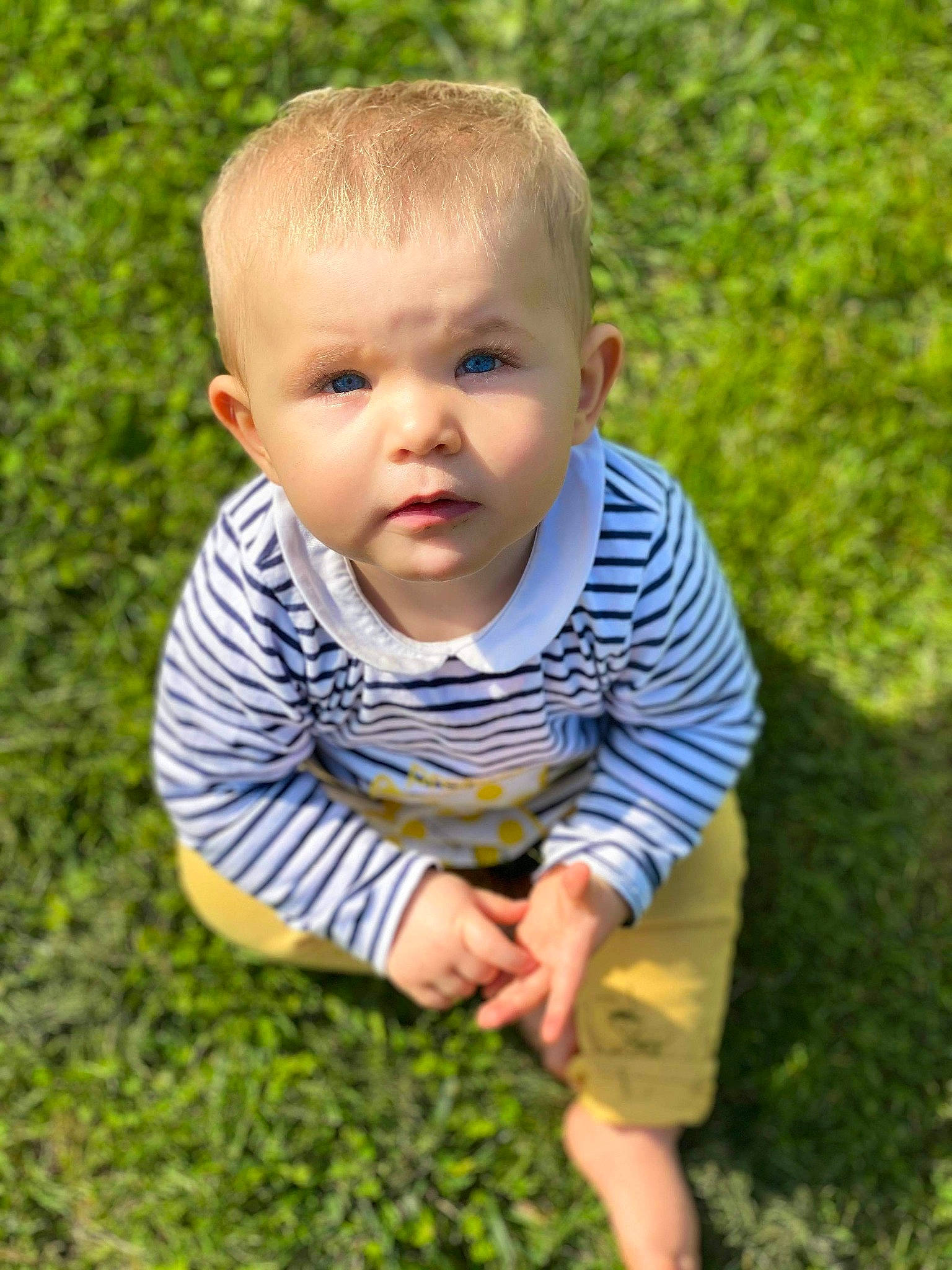 Candice a rejoint le concours — aidez-le/la à gagner de superbes lots ! baby, cheek, child, grass, green, lawn, meadow, person, photography, plant, play, sitting, skin, smile, toddler