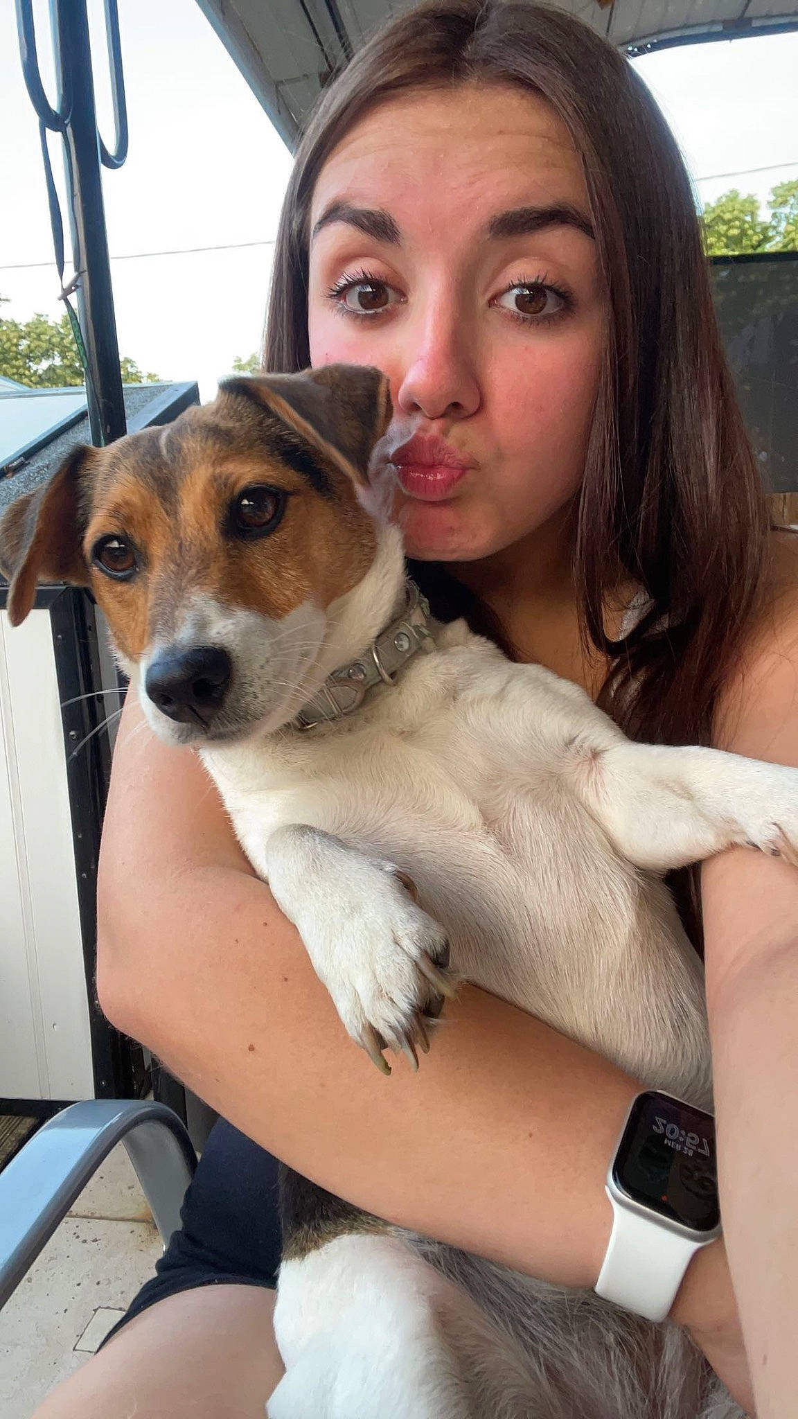 Gulli a rejoint le concours — aidez-le/la à gagner de superbes lots ! ancient_dog_breeds, bracelet, canidae, carnivore, collar, companion_dog, dog, dog_breed, eyewear, fawn, fur, happy, jewellery, photography, sitting, snout, sporting_group, whiskers