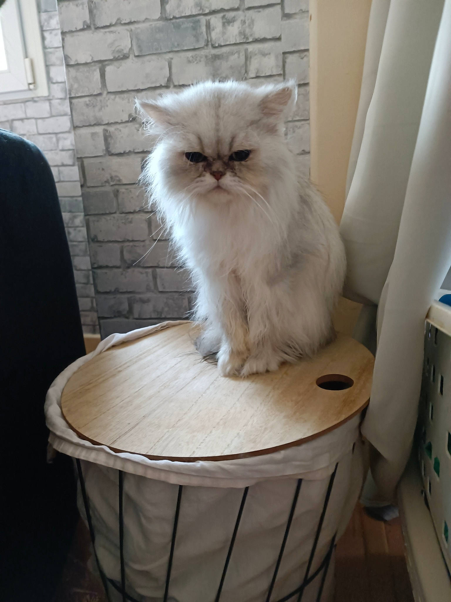 Polochon Du Grand Diamant