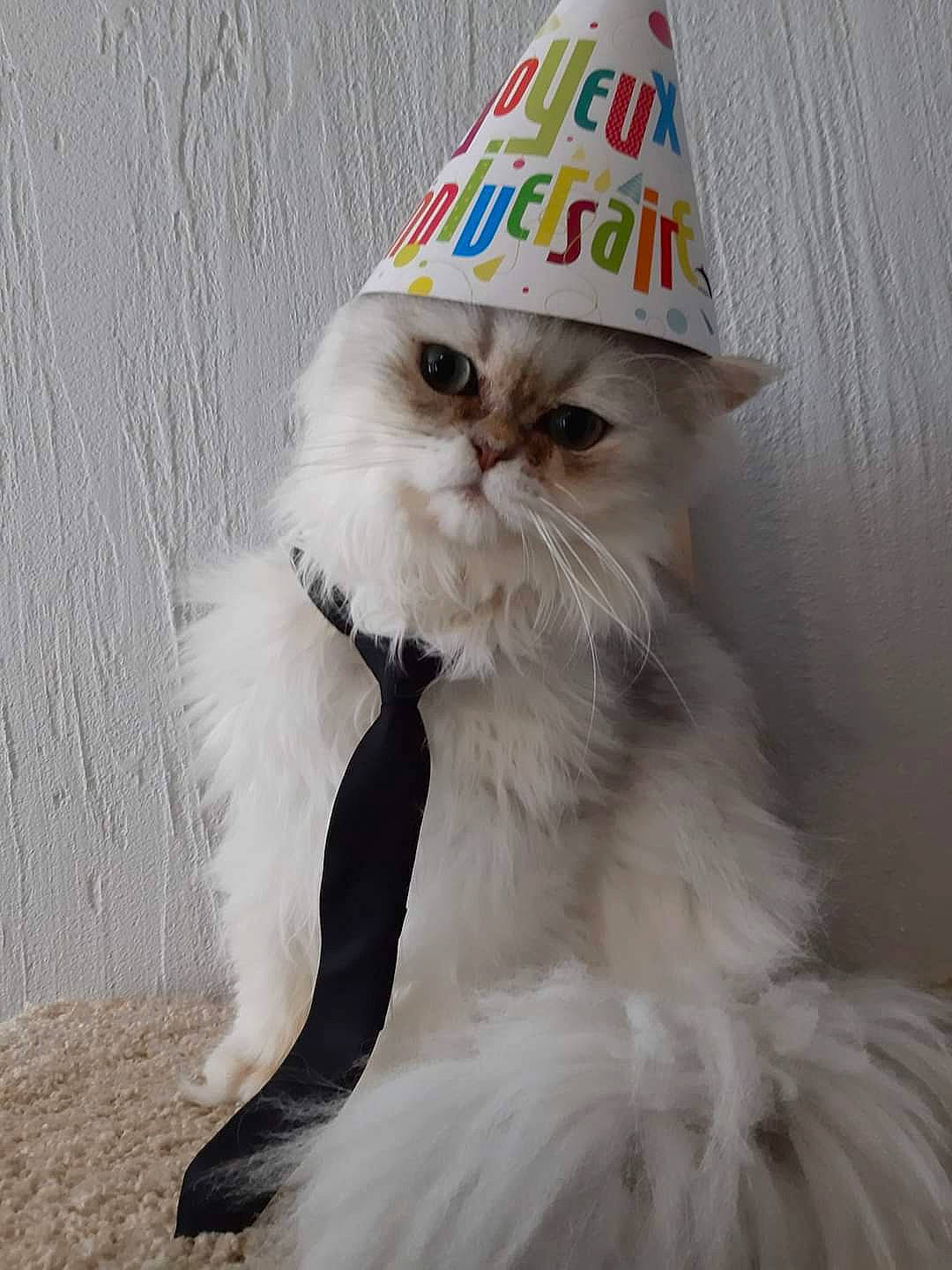 Polochon Du Grand Diamant