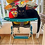 black_cat, kitten, baby_high_chair, pillow, toy, indoor, window, floor_tile, furniture, pet, animal, domestic_cat, tail, playful, resting, colorful, sunlight, home_interior, curtain, garden_view