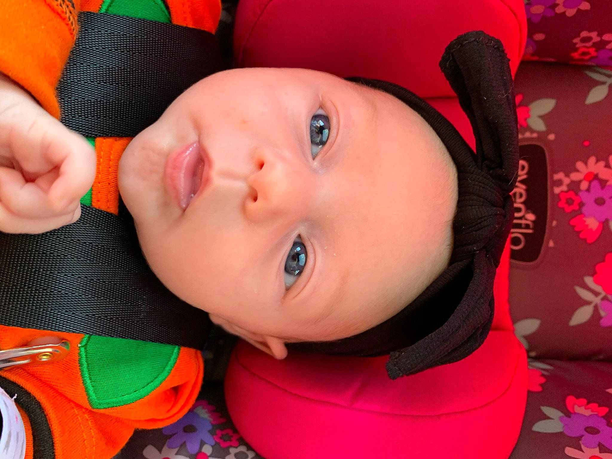 Ellie is registered to the contest to win money with this photo: baby, baby_carriage, baby_products, beauty, black_hair, cheek, child, ear, eye, face, fun, head, headgear, headwear, lip, mouth, neck, nose, person, pink