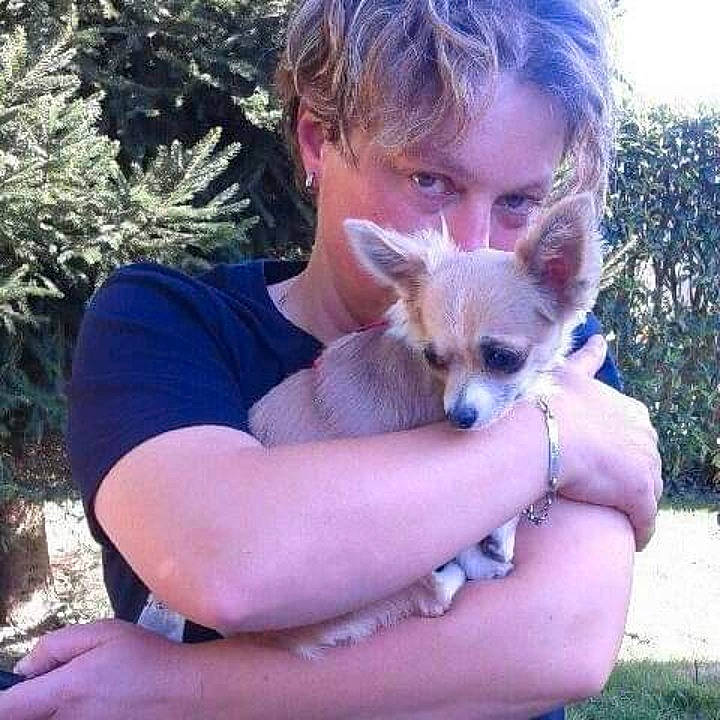 Litchi a rejoint le concours — aidez-le/la à gagner de superbes lots ! beard, canidae, carnivore, companion_dog, dog, dog_breed, ear, fawn, fox, fur, grass, hand, plant, sporting_group, terrestrial_animal, toy_dog, tree, whiskers, wildlife, wildlife_biologist