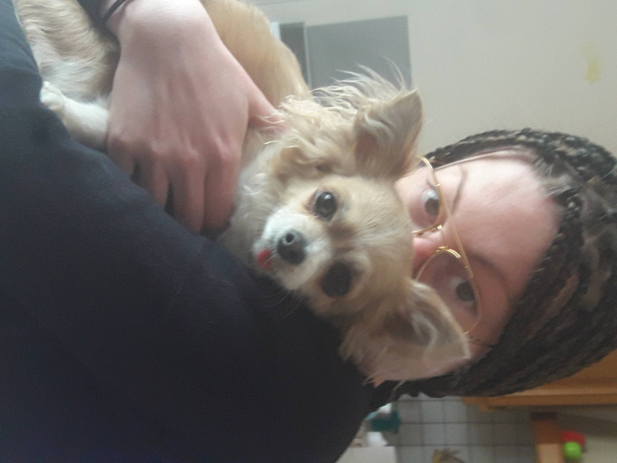 Litchi participe au concours pour gagner de l'argent avec cette photo : carnivore, child, companion_dog, dog, dog_breed, dog_supply, ear, eyelash, fawn, fun, fur, german_spitz, happy, non_sporting_group, pomeranian, puppy_love, selfie, small_terrier, toy_dog, whiskers