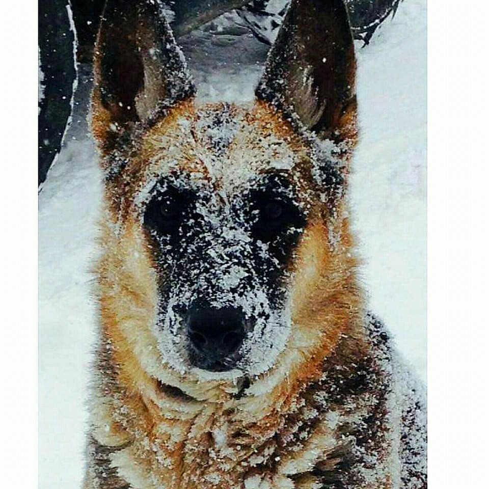 Journey is registered to the contest to win money with this photo: