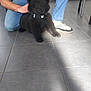 black_fur, casual_clothing, companion, cute, dog, flip_flops, floor, harness, holding, human, indoor, jeans, person, pet, puppy, shadow, sitting, tile, tshirt, young_dog