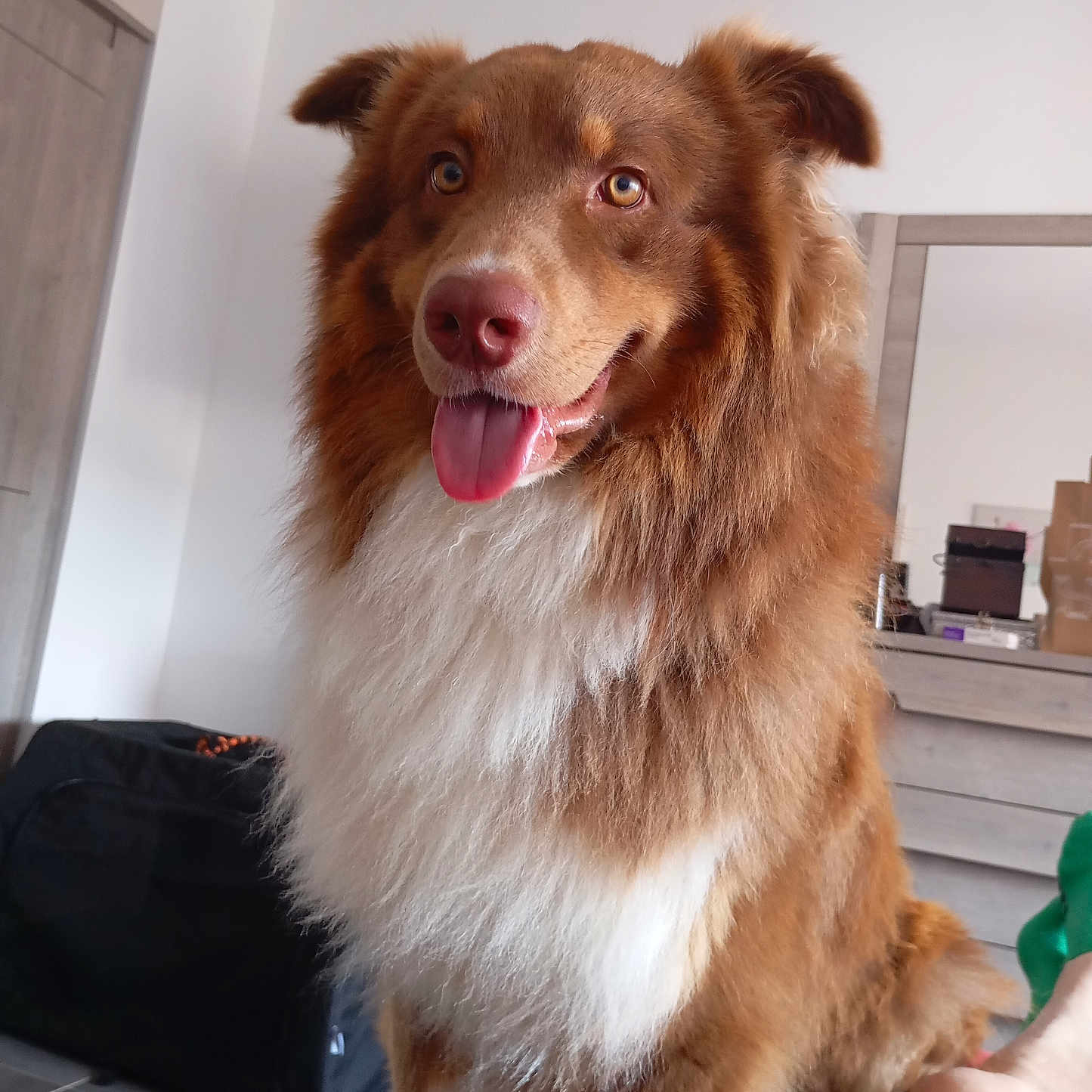 Luky
