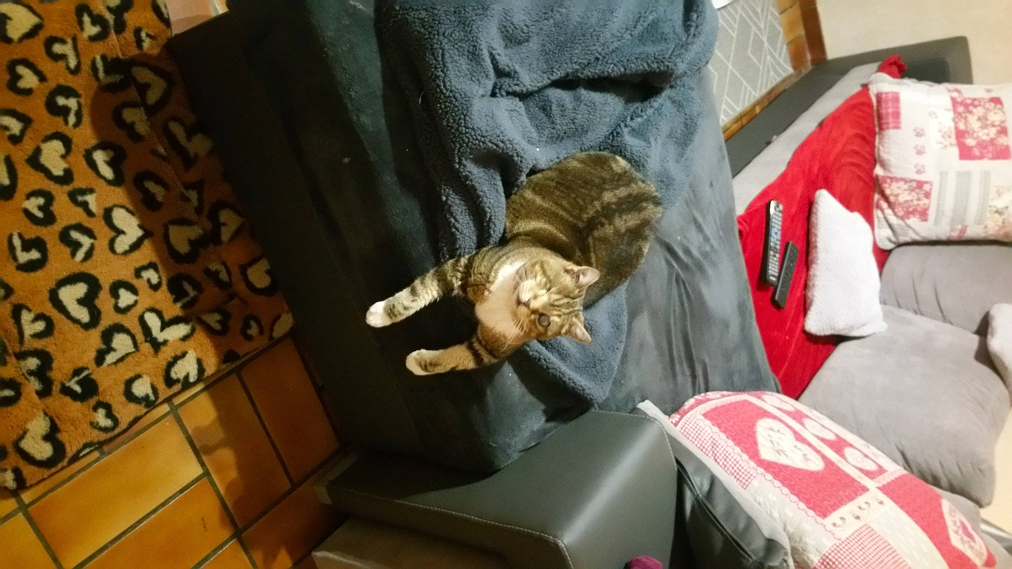 Sosso participe au concours pour gagner de l'argent avec cette photo : art, auto_part, automotive_design, carmine, chair, comfort, fur, hat, linens, machine, metal, motor_vehicle, personal_protective_equipment, room, sculpture, statue, wood