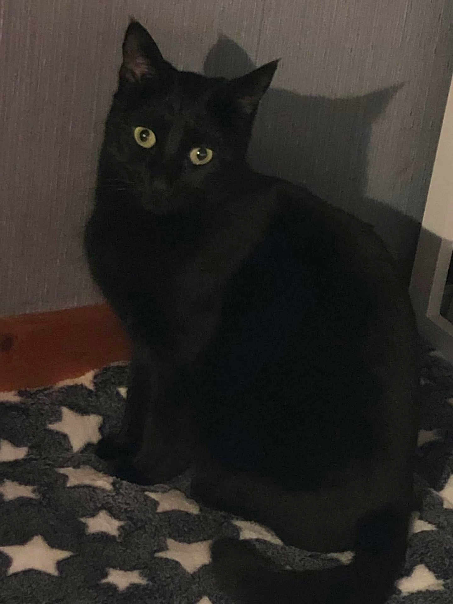 Pixel