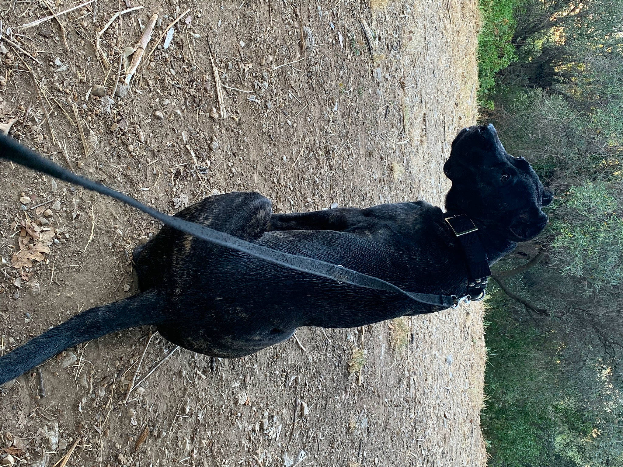 Luna a rejoint le concours — aidez-le/la à gagner de superbes lots ! glove, shadow, sporting_group