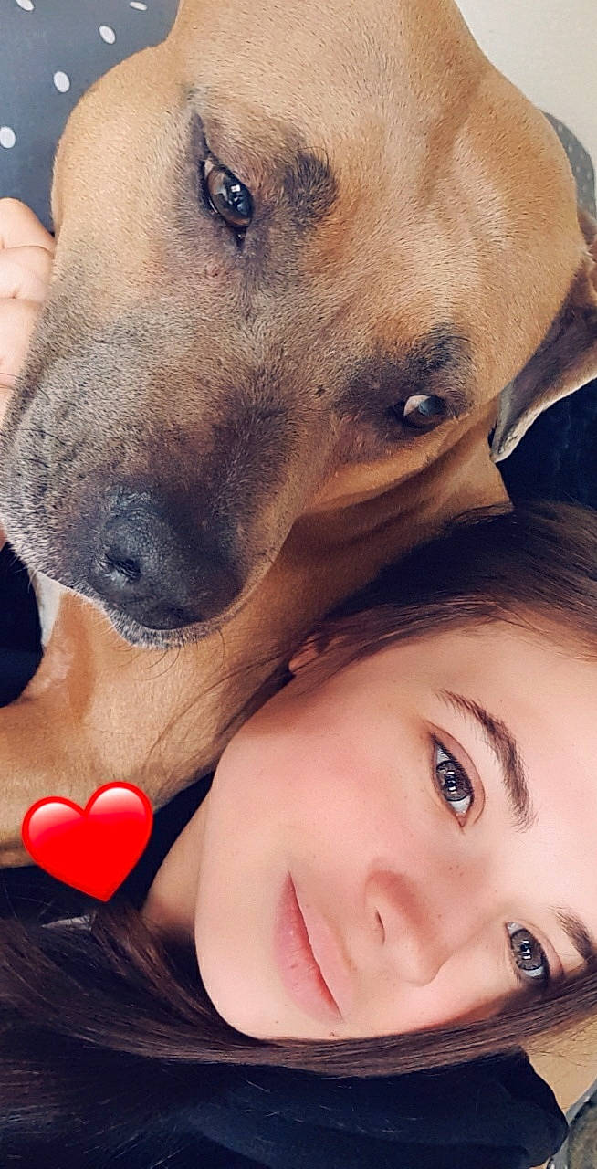 Chupa participe au concours pour gagner de l'argent avec cette photo : carnivore, collar, companion_dog, cool, dog, dog_breed, eye, eyebrow, eyelash, facial_expression, fawn, gesture, happy, iris, jaw, nose, organ, photograph, skin, whiskers