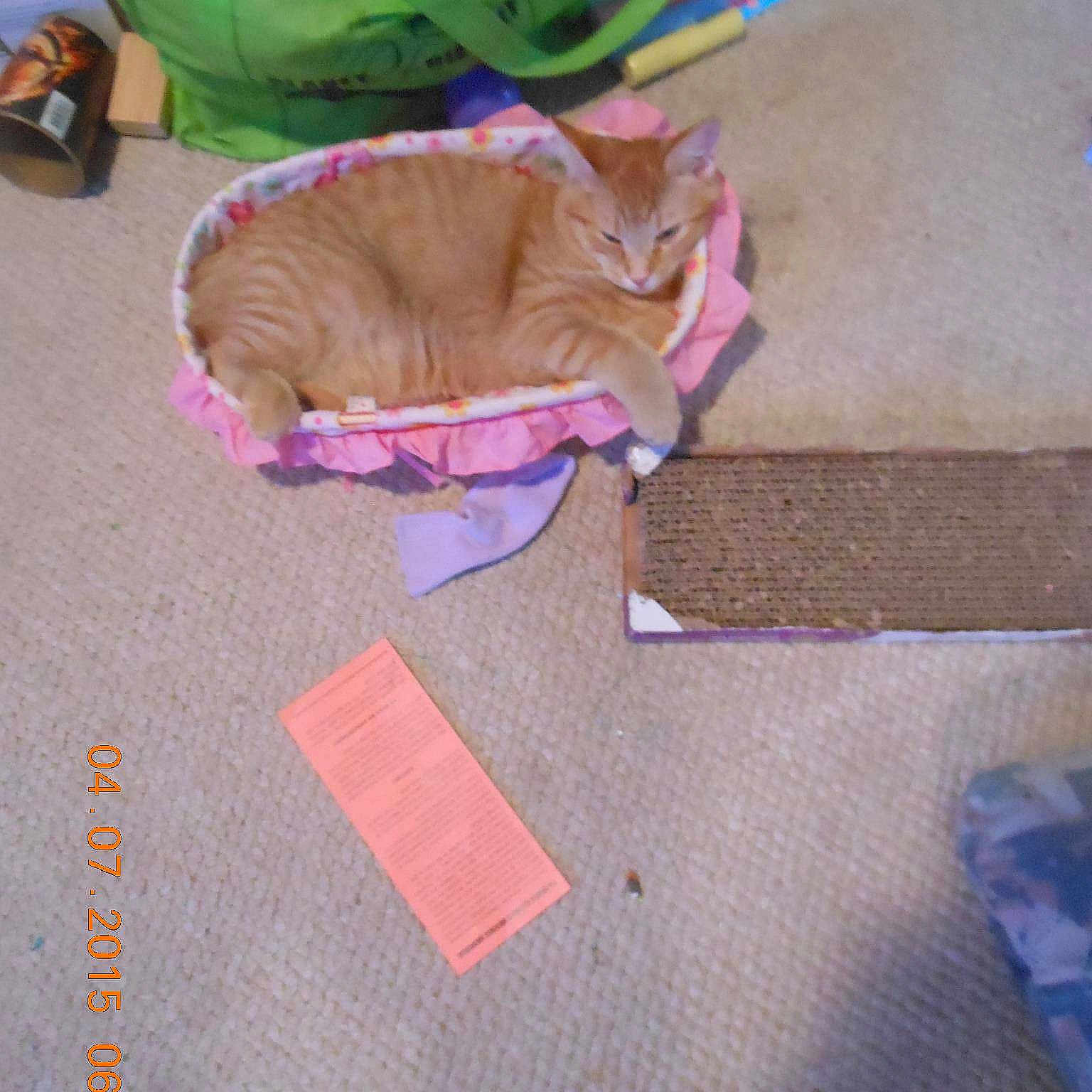 Ragnar joined the competition — help win amazing prizes!