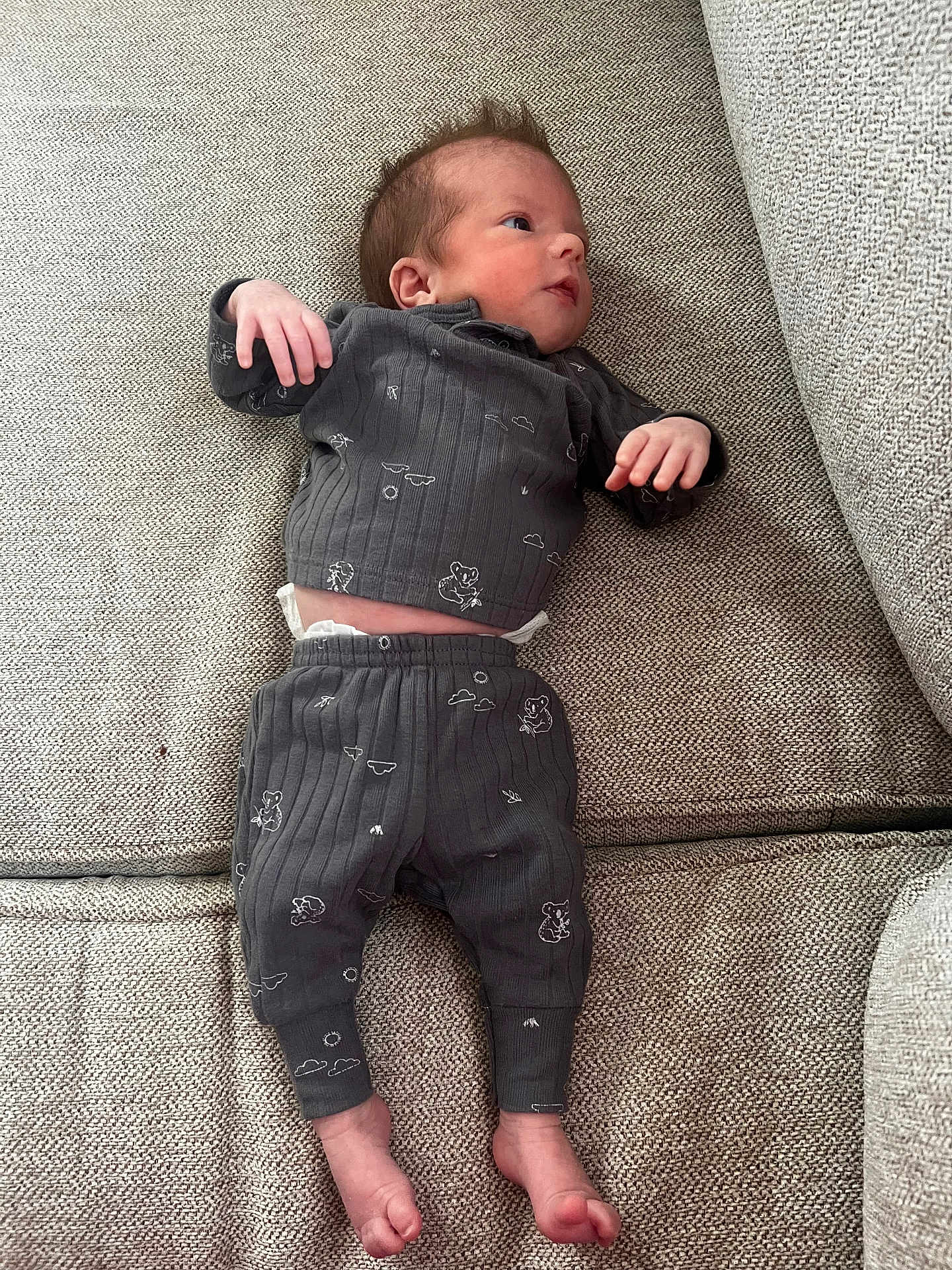 Apollo is registered to the contest to win money with this photo: baby, infant, pajamas, koala_print, couch, fabric, texture, feet, hands, face, person, lying_down, cozy, comfortable, looking_sideways, indoor, child, newborn, clothing, relaxing