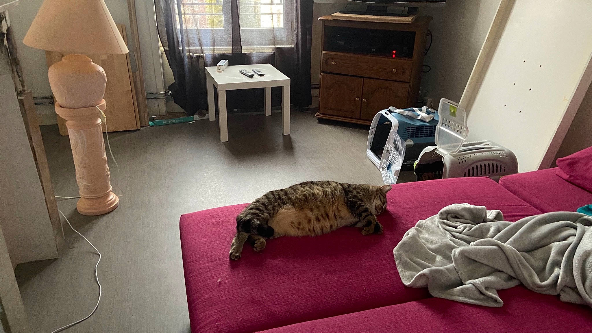 Caramel participe au concours pour gagner de l'argent avec cette photo : cabinetry, carnivore, cat, chest_of_drawers, comfort, desk, drawer, dresser, felidae, floor, flooring, furniture, grey, hardwood, interior_design, living_room, small_to_medium_sized_cats, table, whiskers, wood