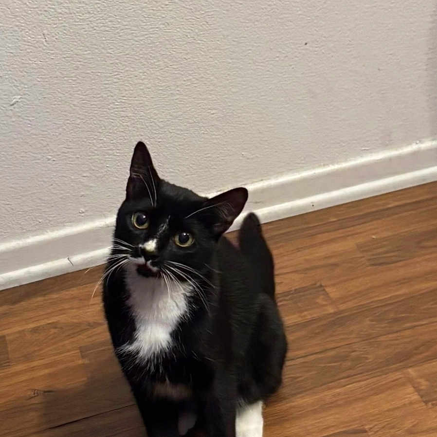 Precious