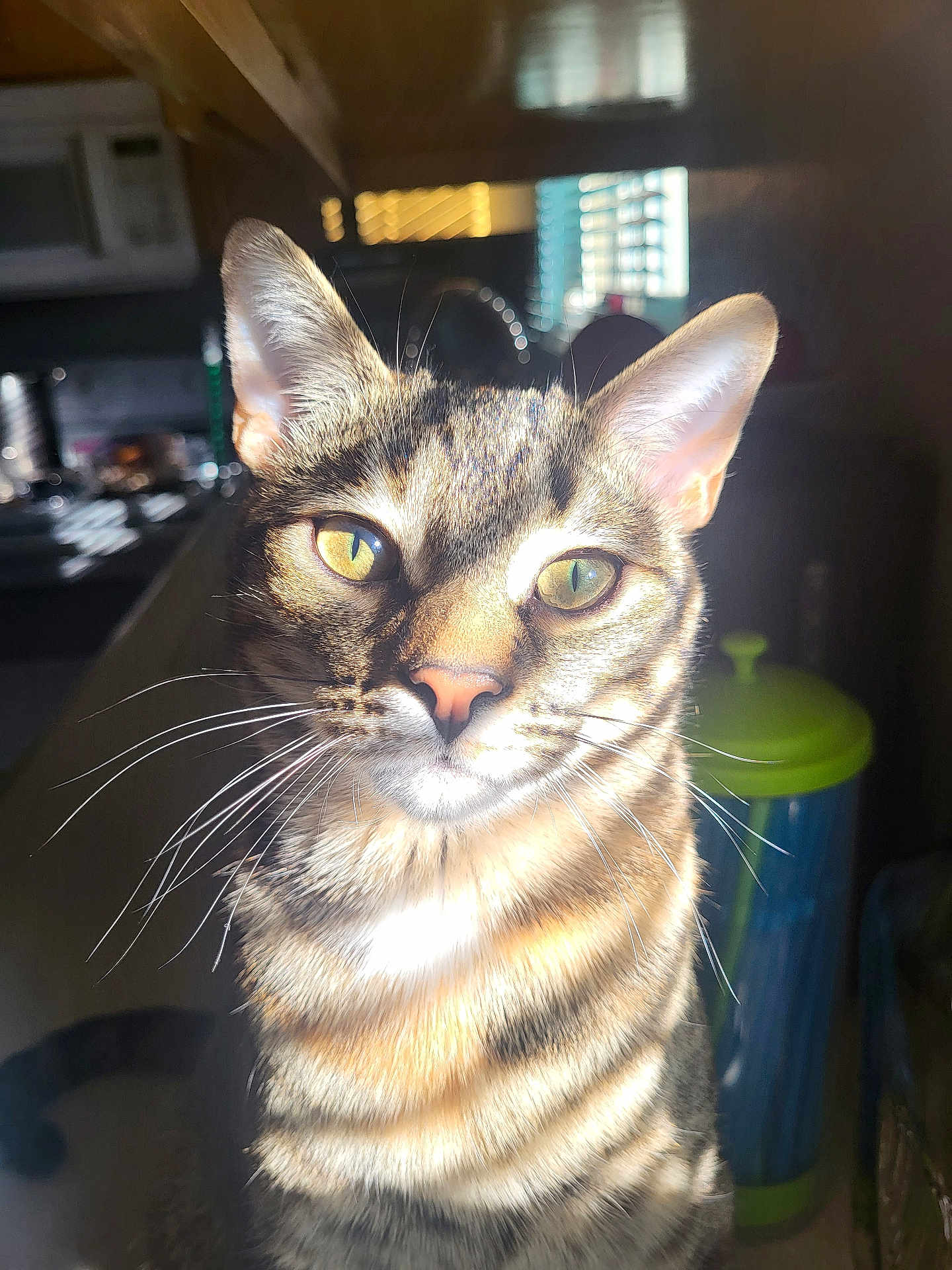Lady Remington