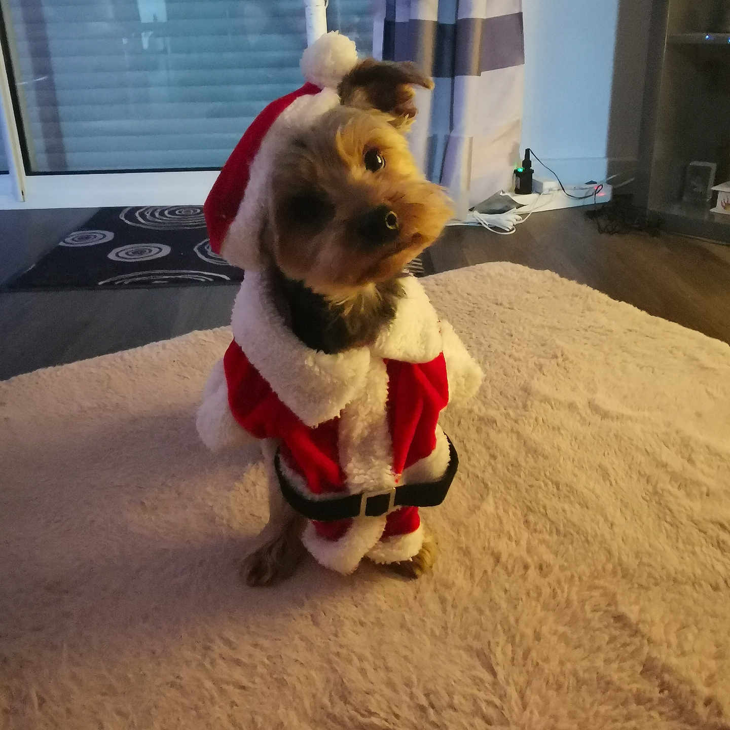 Otis