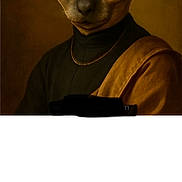 Vladimir is registered to the contest to win money with this photo: animal, artistic, brown_background, cat, classic, clothing, costume, costume_jewelry, ears, expression, face, feline, hairless_cat, indoor, large_eyes, necklace, portrait, renaissance_style, studio_lighting, surreal