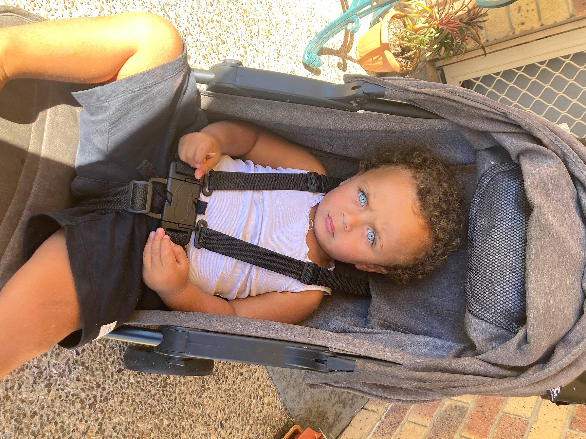 Tyree joined the competition — help win amazing prizes! auto_part, automotive_exterior, baby_products, bag, baggage, bench, bumper, child, comfort, grass, human_leg, leisure, luggage_and_bags, luxury_vehicle, person, plant, shorts, sitting, thigh, travel