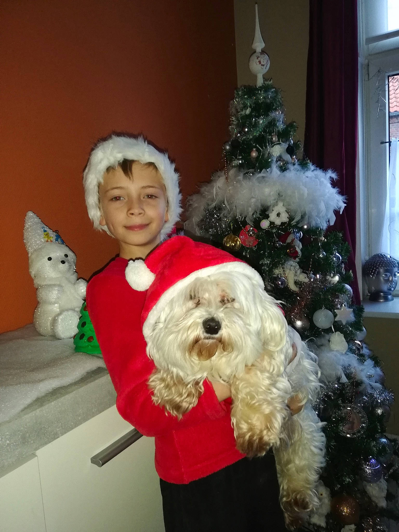 Morgane participe au concours pour gagner de l'argent avec cette photo : bichon, carnivoran, christmas, christmas_decoration, christmas_tree, cockapoo, companion_dog, dog, dog_like_mammal, event, holiday, joy, maltese, mammal, person, puppy, vertebrate, white