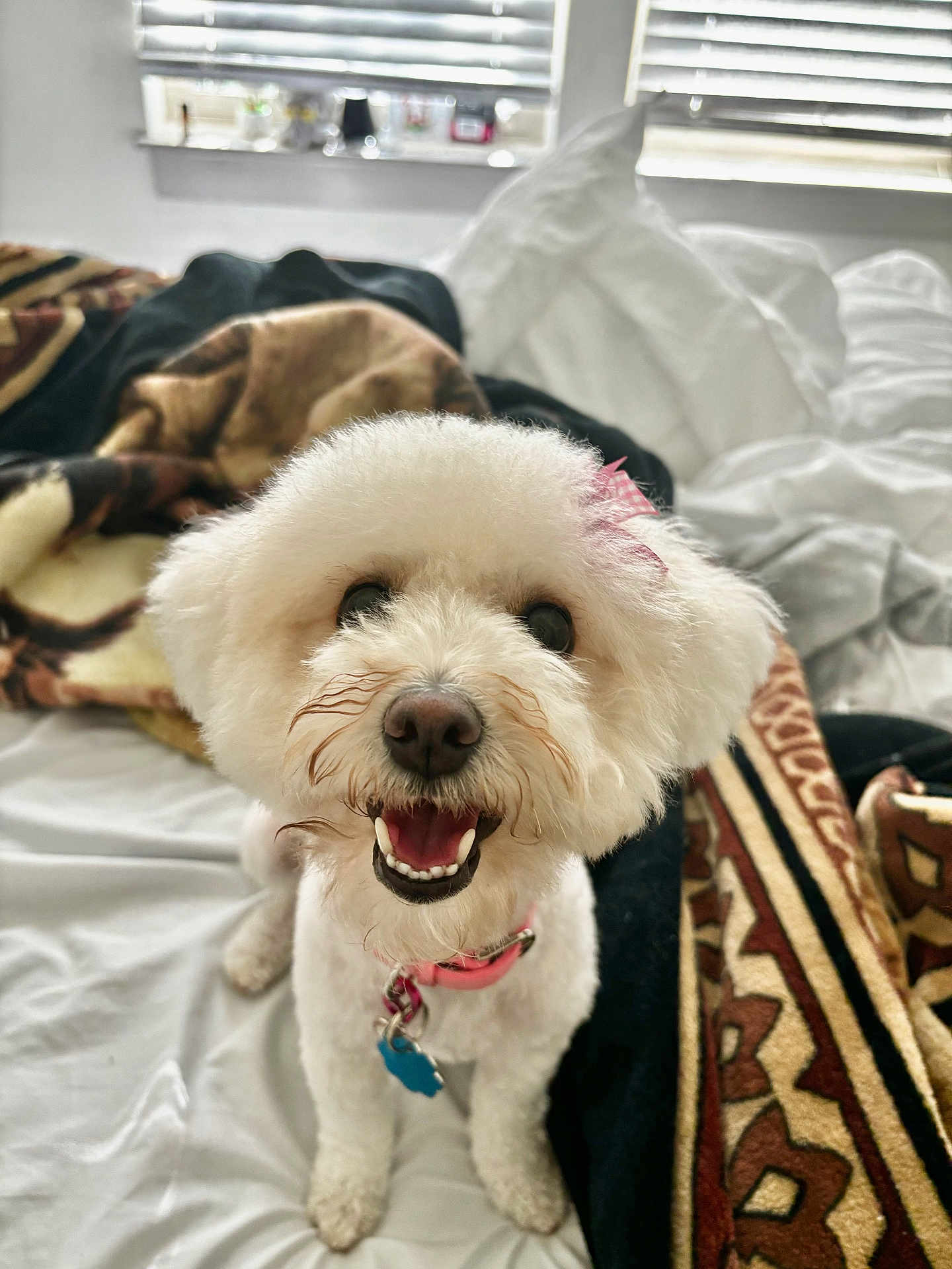 Ellie