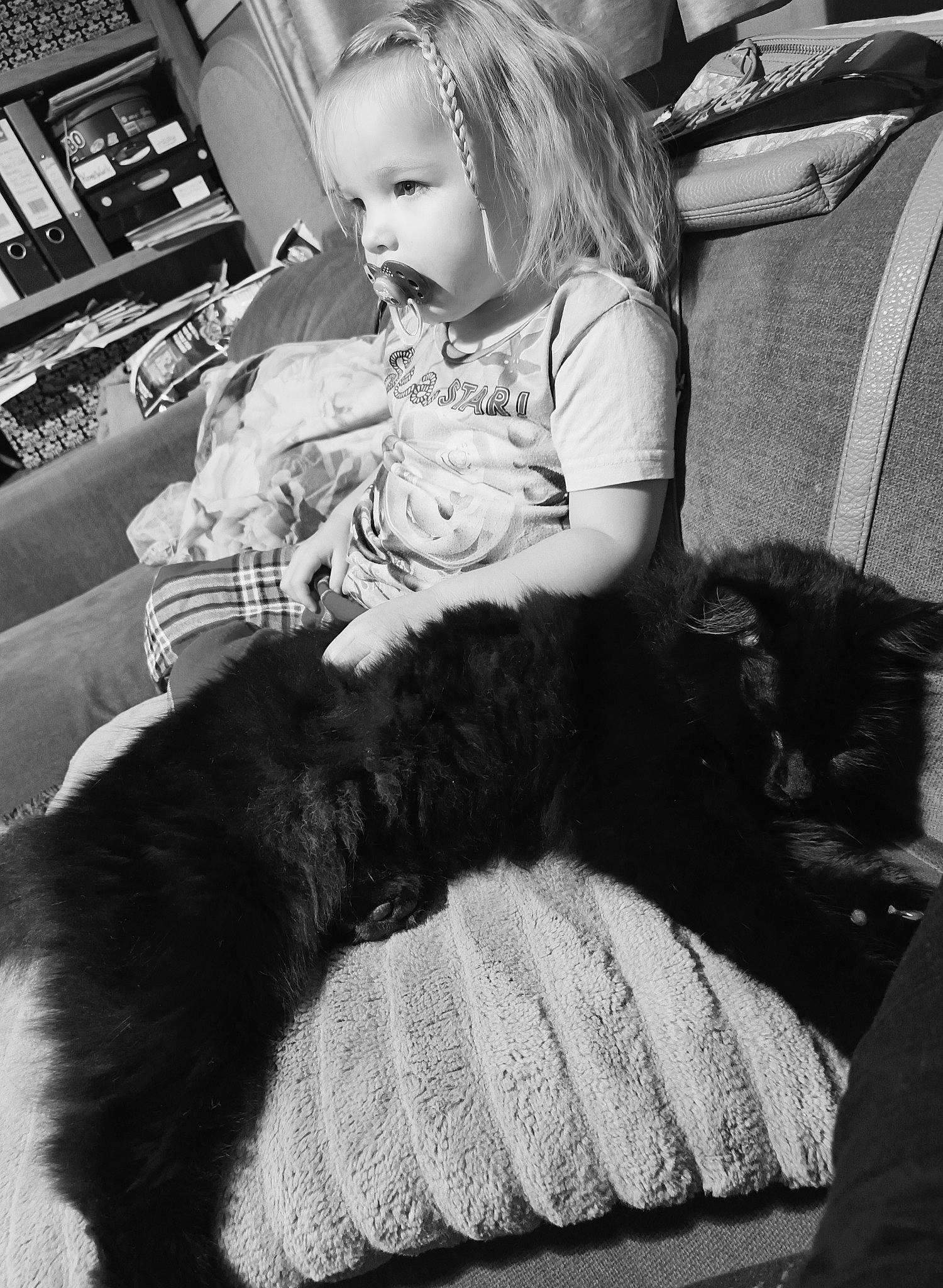 Phat Boi is registered to the contest to win money with this photo: black, black_and_white, carnivore, cat, comfort, companion_dog, facial_expression, felidae, hairstyle, happy, human, lap, mammal, monochrome, monochrome_photography, organ, photograph, small_to_medium_sized_cats, style, white