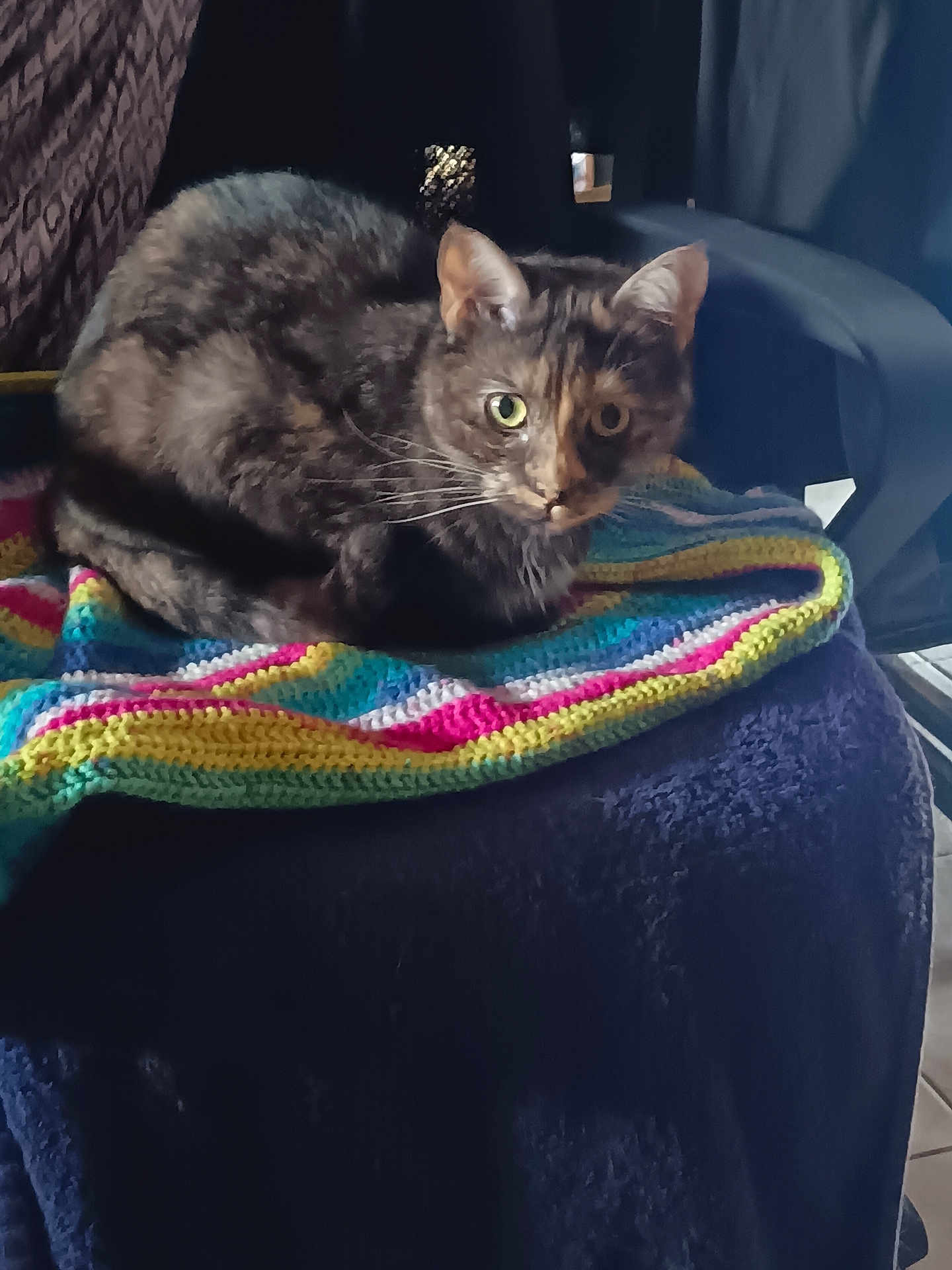 Maïa