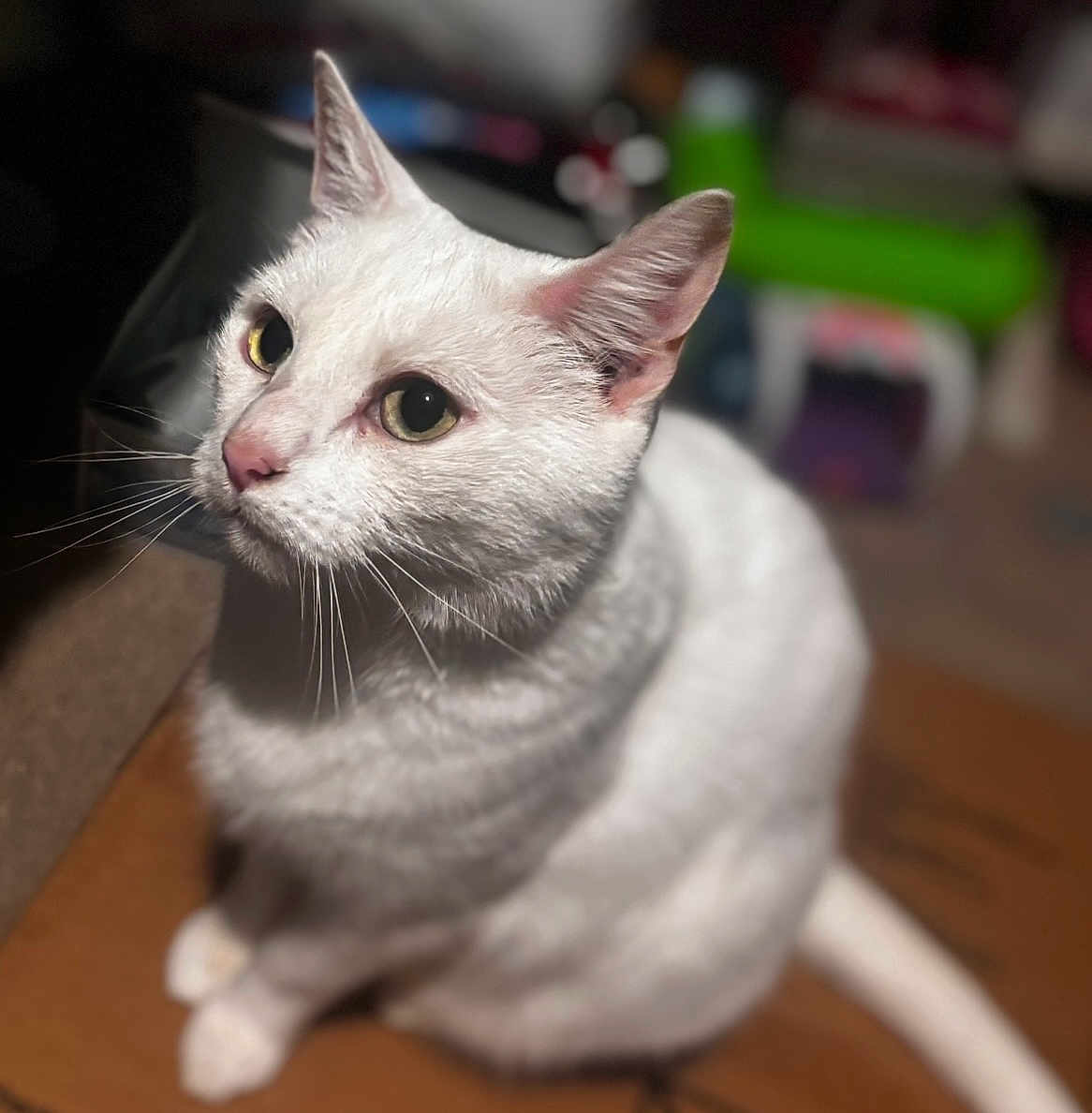 Mindy
