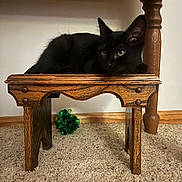 Ghost joined the competition — help win amazing prizes! animal, black_cat, carpet, cat, cozy, curious, domestic_animal, ears, feline, floor, fur, green_ball, home, indoor, pet, resting, small_furniture, toy, whiskers, wooden_stool