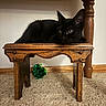 animal, black_cat, carpet, cat, cozy, curious, domestic_animal, ears, feline, floor, fur, green_ball, home, indoor, pet, resting, small_furniture, toy, whiskers, wooden_stool