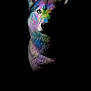 Shivah a rejoint le concours — aidez-le/la à gagner de superbes lots ! dog, portrait, colorful, rainbow, artistic, black_background, blue_eye, fur, animal, closeup, head, lighting, studio, creative, painted, vibrant, expression, muzzle, ears, dark
